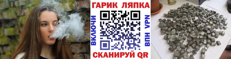 Купить  Костомукша  ГАШ ice o lator 