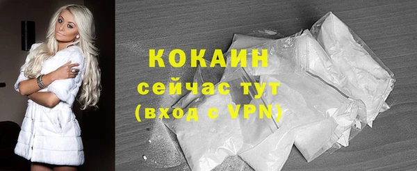 твердый Балахна