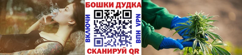 Купить где  Костомукша  Конопля гибрид 